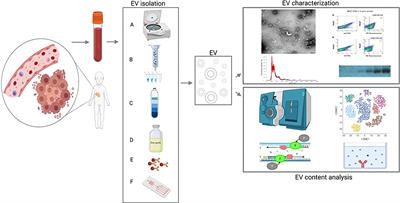 Extracellular Vesicles: A New Source of Biomarkers in Pediatric Solid Tumors? A Systematic Review
